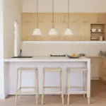 Puketutu 170 kitchen
