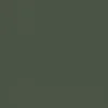 Colorsteel Permanent Green