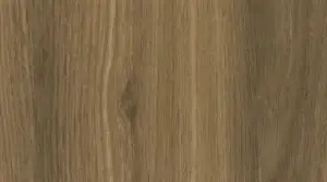 Chiba Oak