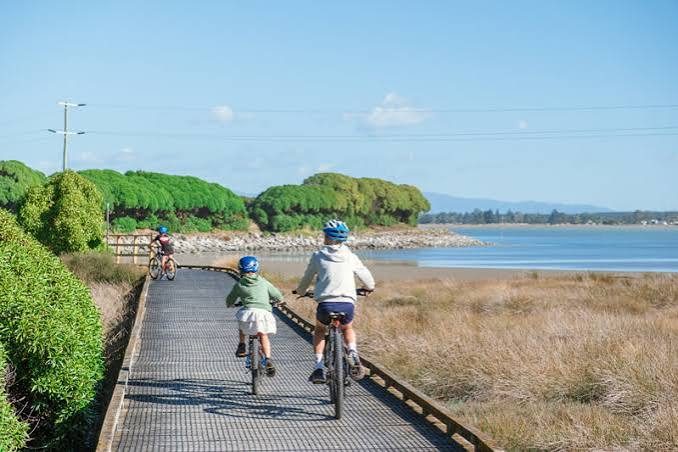 Great Taste Trail cycling